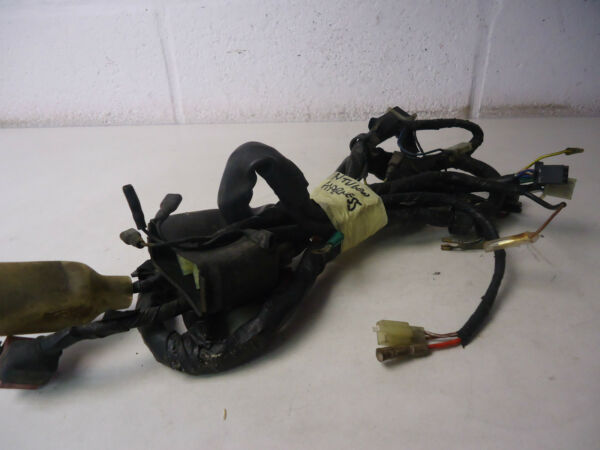 Honda NTV600 Wiring Loom NTV600 Revere Wiring Harness