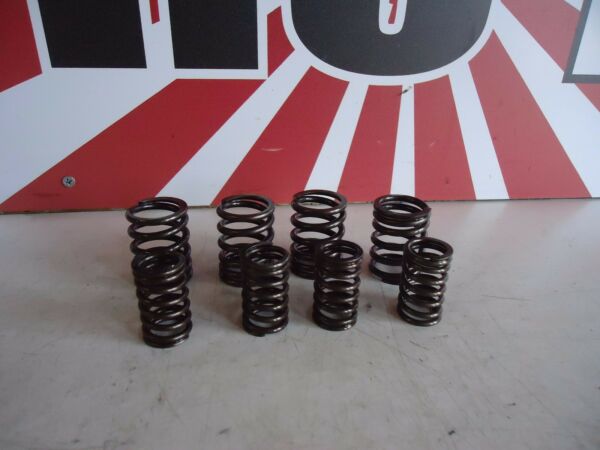 Kawasaki GPZ750 Exhaust Valve Springs GPZ750 Unitrak