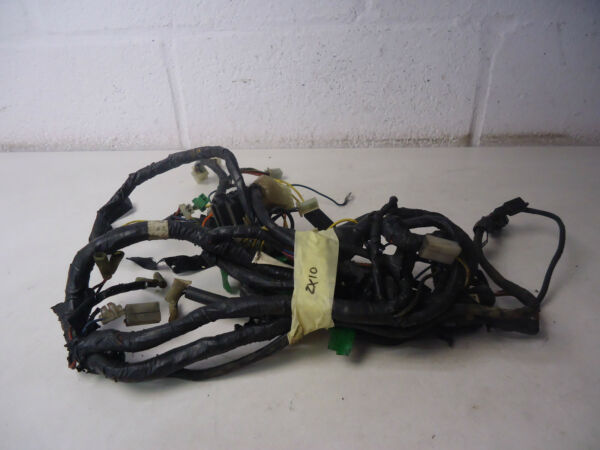 Kawasaki ZX10B Tomcat Wiring Loom Harness