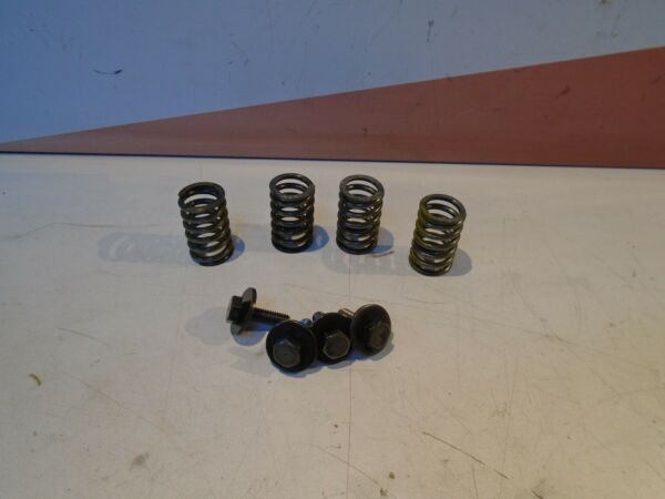 Kawasaki ZZR250 Clutch Springs 