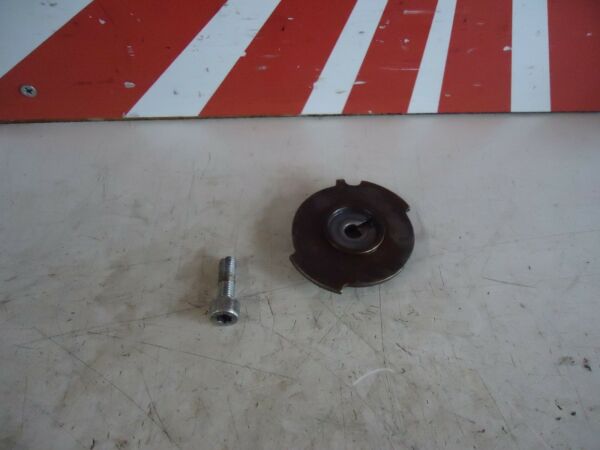 Kawasaki ZZR600 Engine Ignition Timing Plate 