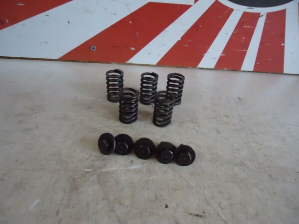 Kawasaki ZZR600D Clutch Springs 1993 ZZR600 Clutch 