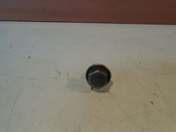 Kawasaki ZX10B Tomcat Oil Drain Bolt 