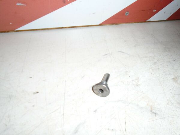 Kawasaki ZX6R Camchain Tensioner Blade Bolt 