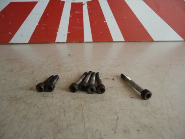 Yamaha FZR600 Starter Cover Bolts FZR600 Engine Casing Bolts