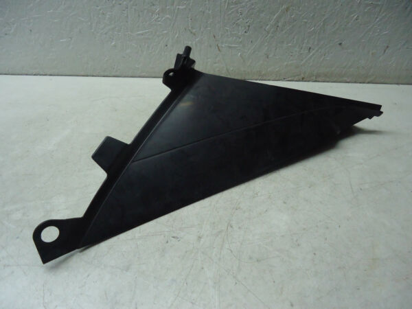 Suzuki GSX1300R Fairing Infill Panel