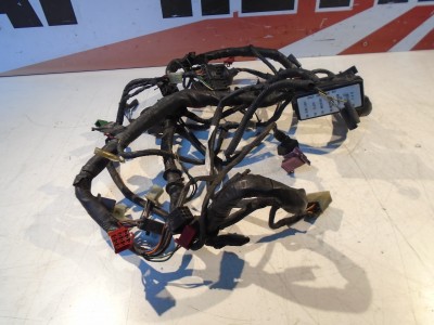 Honda VFR750F Wiring Loom