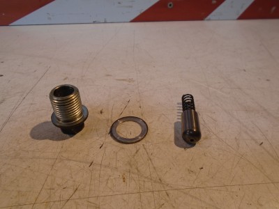 Kawasaki ZZR250 Gear Selector Drum Detent Plunger