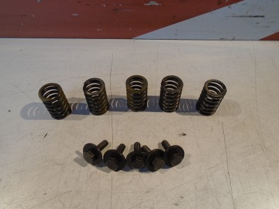 Kawasaki GPZ750R Clutch Springs 