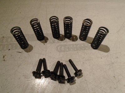 Yamaha FZR1000RU Clutch Springs