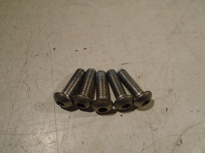 Yamaha FJ1200 Front Brake Disc Bolts