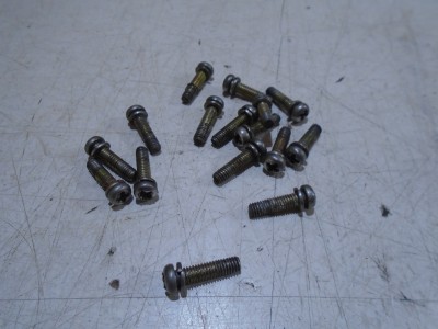 Kawasaki GPZ900R Carb Float Bowl Screws