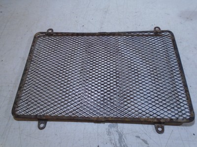 Kawasaki GPZ900R Radiator Grille Cover