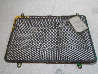 Kawasaki GPZ900R Radiator Grille Cover