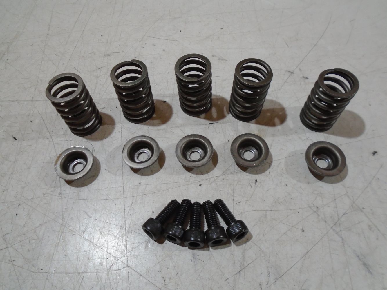 Kawasaki ZX10B Tomcat Clutch Springs & Bolts