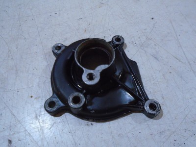 Kawasaki ZX10B Tomcat Water Pump Cover