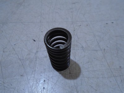 Kawasaki ZX10B Tomcat Engine Valve Spring