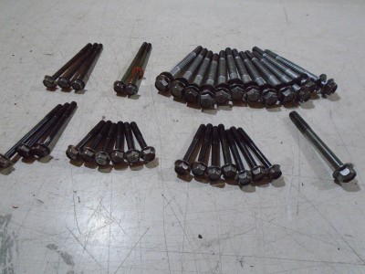 Yamaha FZS600 Fazer Engine Crankcase Bolts