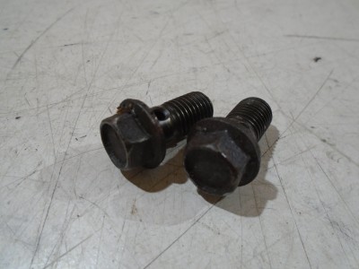 Yamaha FZR1000 Engine Oil Feed Banjo Bolts