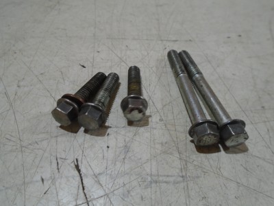 Yamaha FZR1000RU Water Pump Mount Bolts