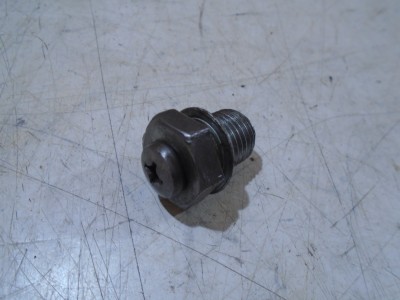 Yamaha FZR1000RU Engine Oil Drain Bolt