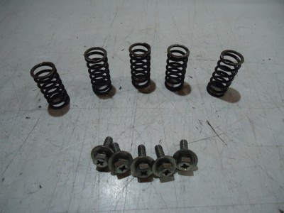 Yamaha XV500 Virago Clutch Springs & Bolts