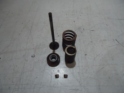 Kawasaki KZ550 Engine Valve GPZ550 Valves