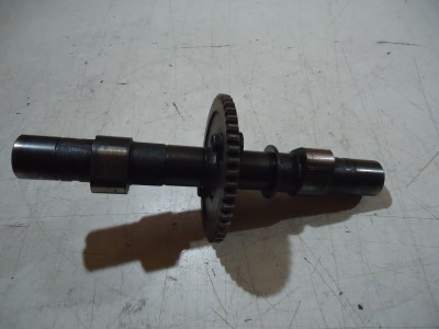 Kawasaki ER500 Engine Camshaft