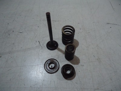 Kawasaki GPZ750R1 Engine Exhaust Valve GPZ 750 Valves