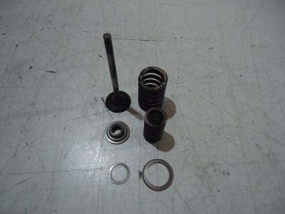 Kawasaki ZZR250 Engine Valve ZZR250 Valves