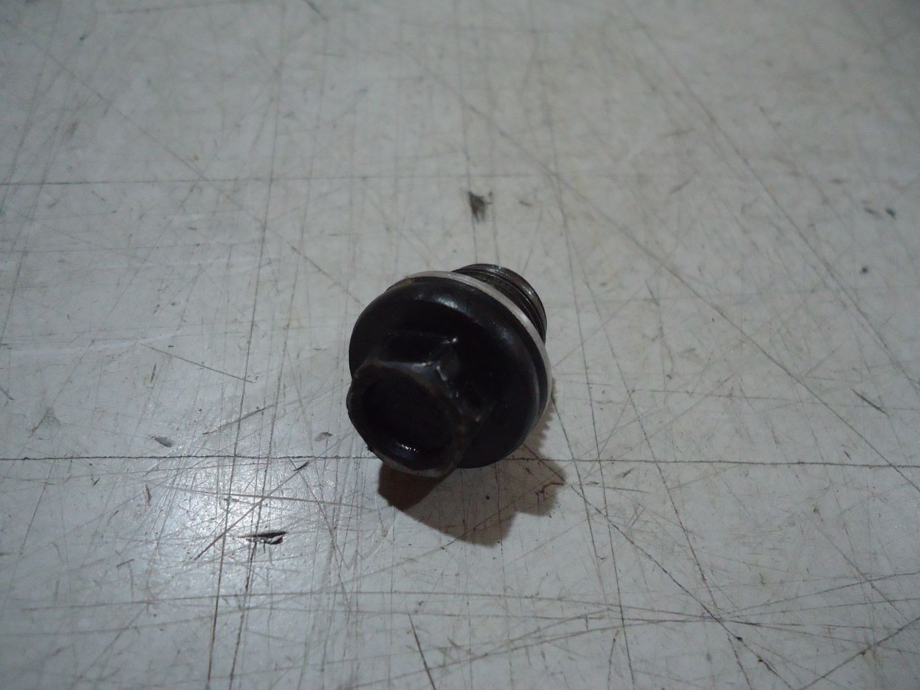 Suzuki GS500E Engine Oil Drain Bolt