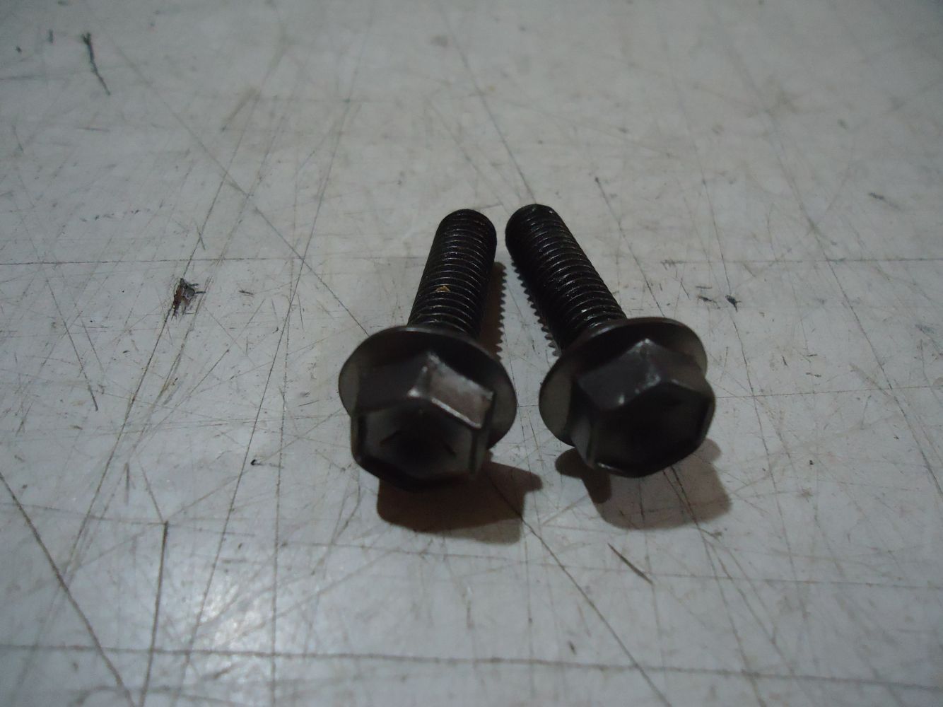 Suzuki GSF600 Bandit Rear Brake Caliper Mount Bolts