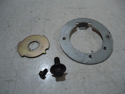 Yamaha XJ900s Diversion Ignition Timing Plate XJ900