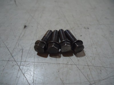 Yamaha XJ900s Diversion Ignition Cover Bolts XJ900