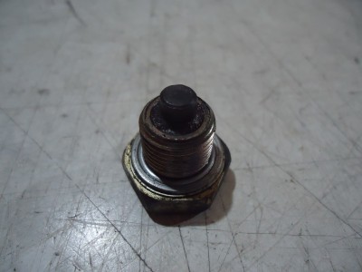 Suzuki GS1000G Engine Bevel Gear Drain Bolt