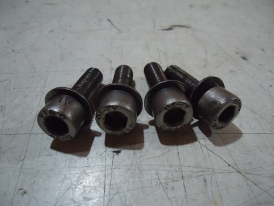 Yamaha FJ1200 Front Brake Caliper Bolts