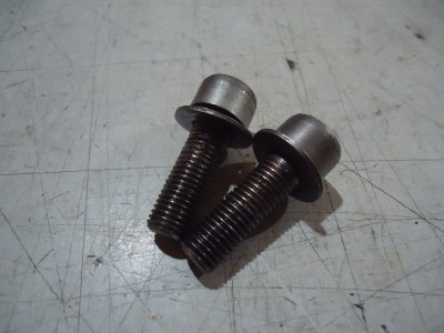 Yamaha FJ1200 Rear Brake Caliper Bolts