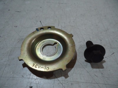 Yamaha FJ1200 Ignition Timing Plate