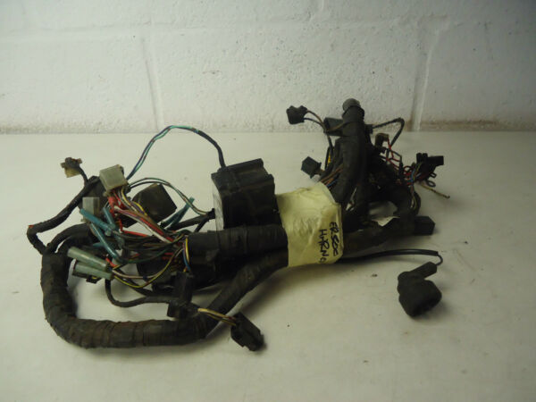 Kawasaki ER500 Wiring Loom Harness