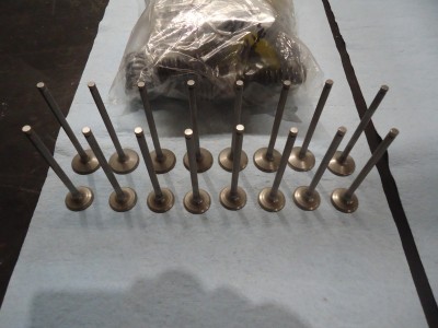 Kawasaki GPX750R Engine Valves GPX750 Inlet Exhaust Valve ZX750F