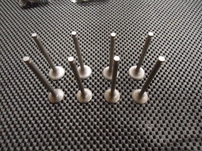 Kawasaki ZZR250 Inlet Exhaust Valve ZZR 250 Engine Valves EX250