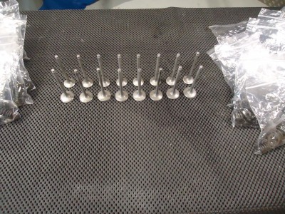 Kawasaki GPZ1000RX Engine Valves GPZ1000 Inlet Exhaust Valve