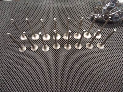 Yamaha XJR1300 Inlet Exhaust Valves XJR1200 Engine Valve
