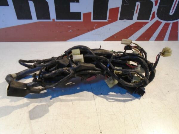 Kawasaki ZX10B Tomcat Wiring Loom Harness